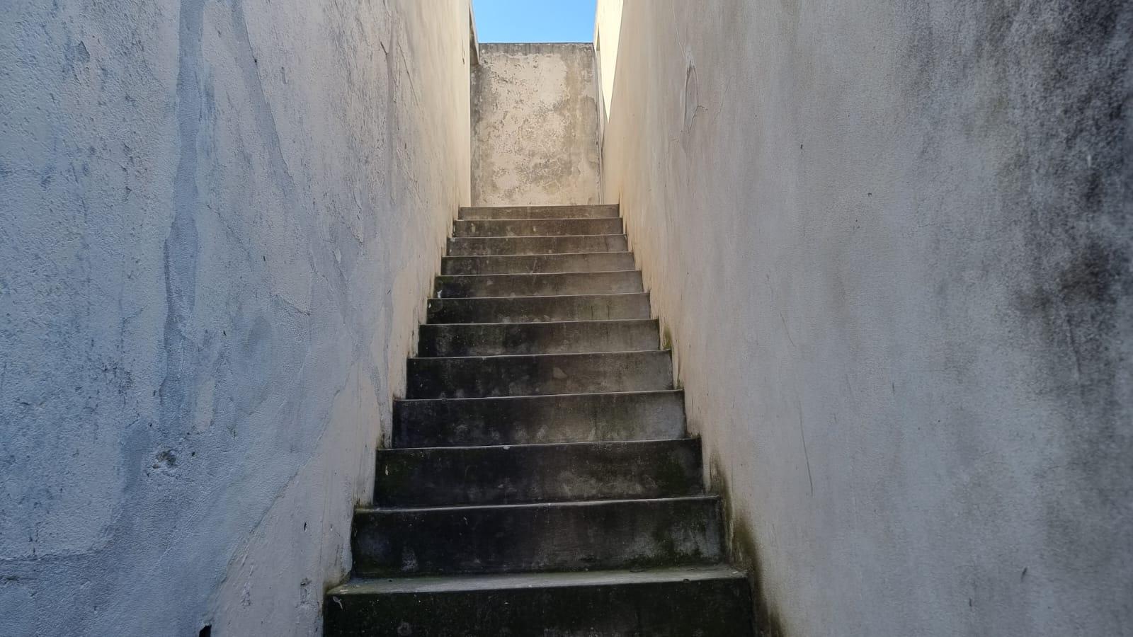 image 36