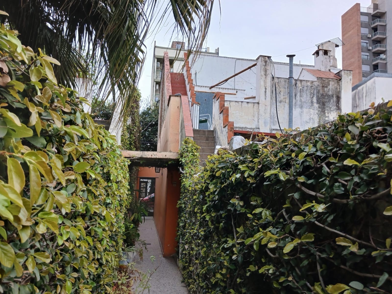 image 18