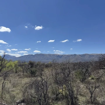 8 Has en San Esteban buen acceso, Servicios y Vistas.