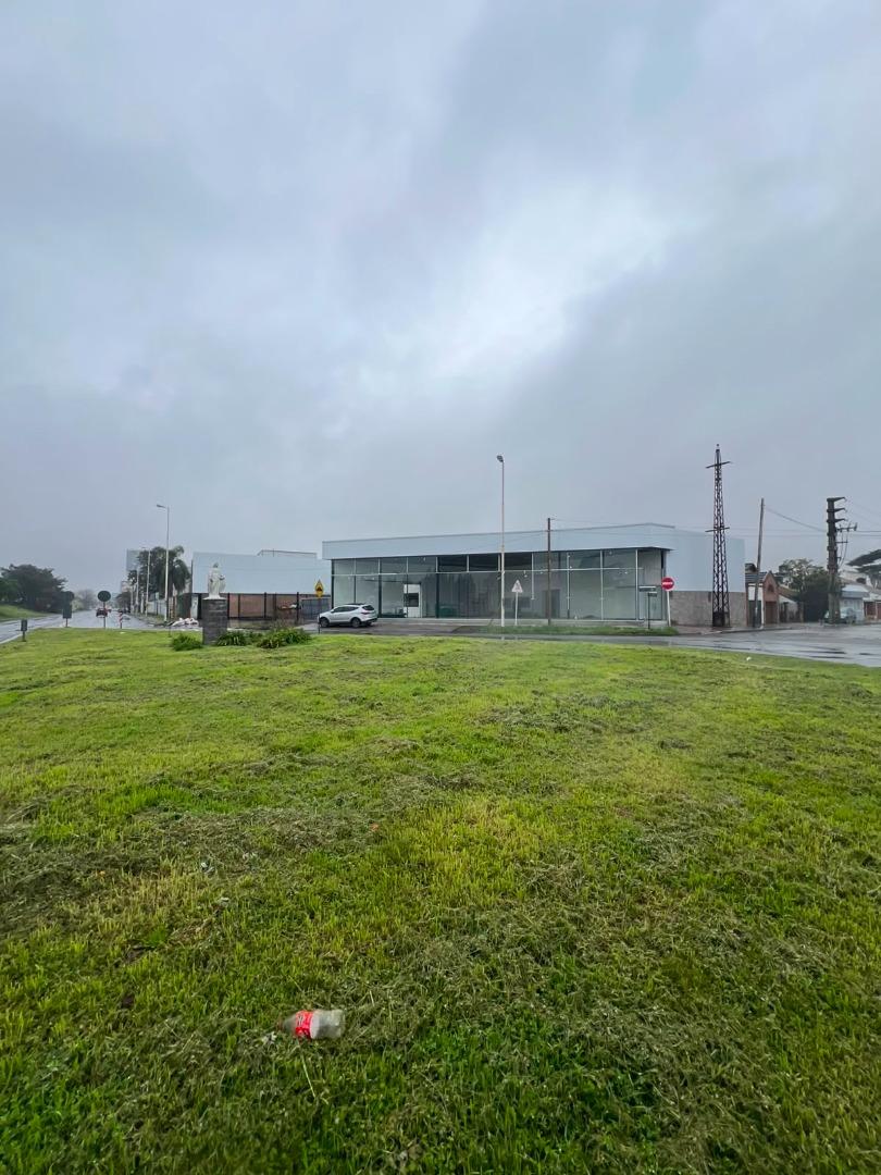 image 33