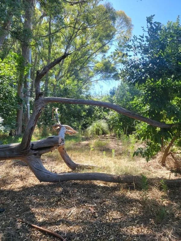 image 17