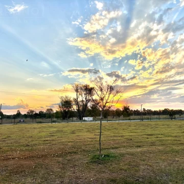 Terreno en venta, barrio cerrado Matisse, Los Cardales