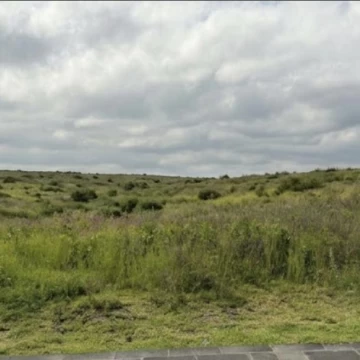 TERRENO EN VENTA EN BOSQUE REAL