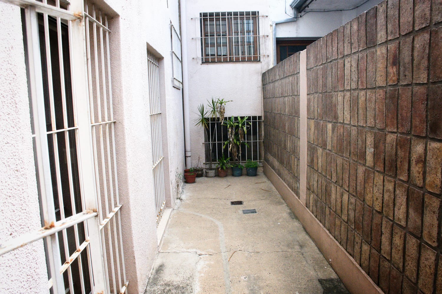image 17