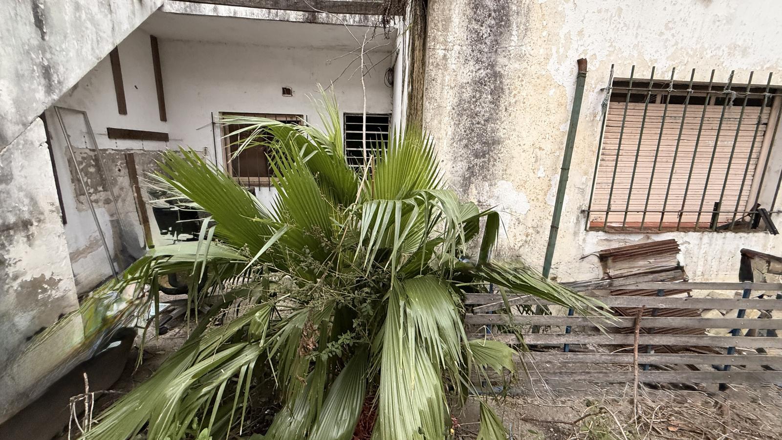 image 14
