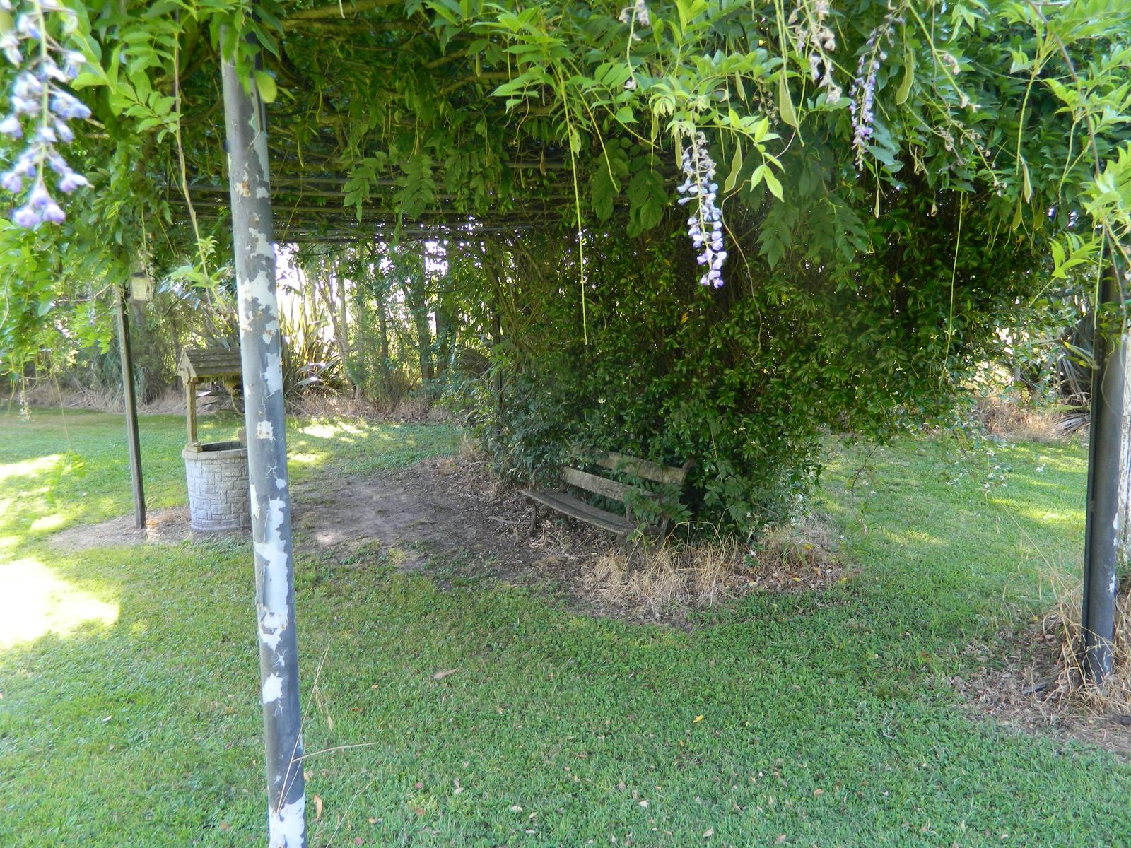 image 41