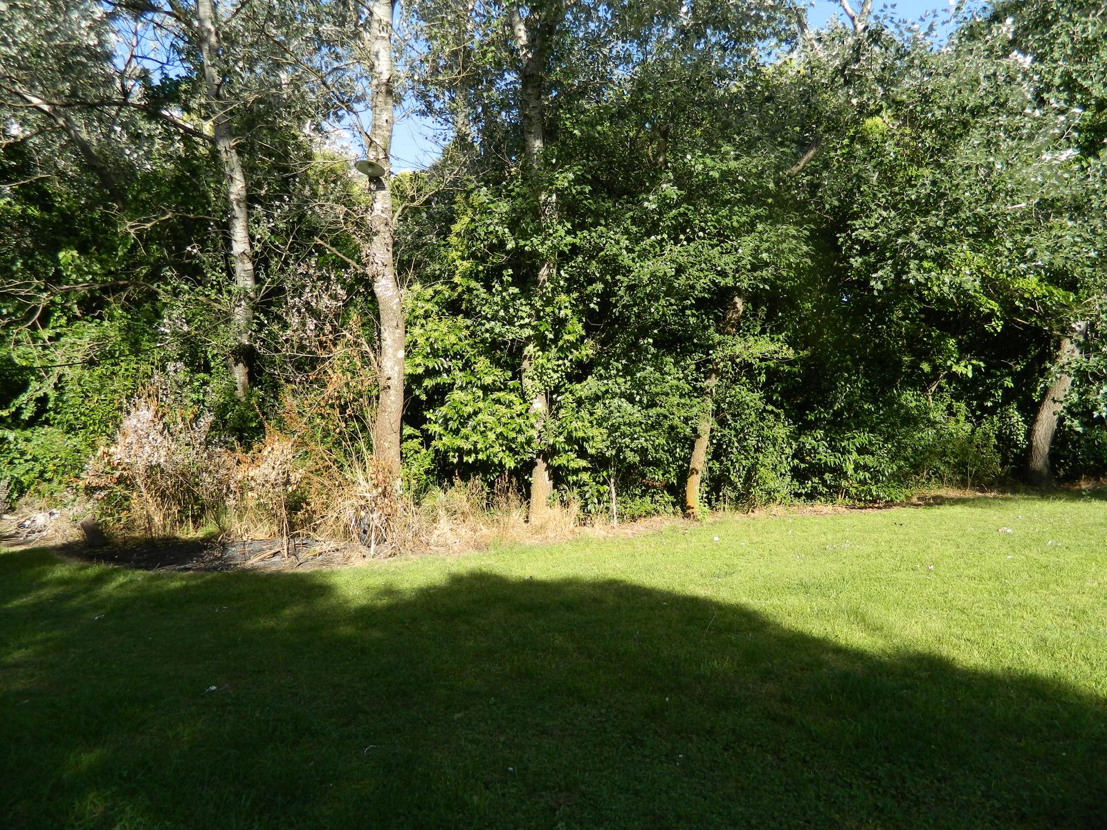 image 42