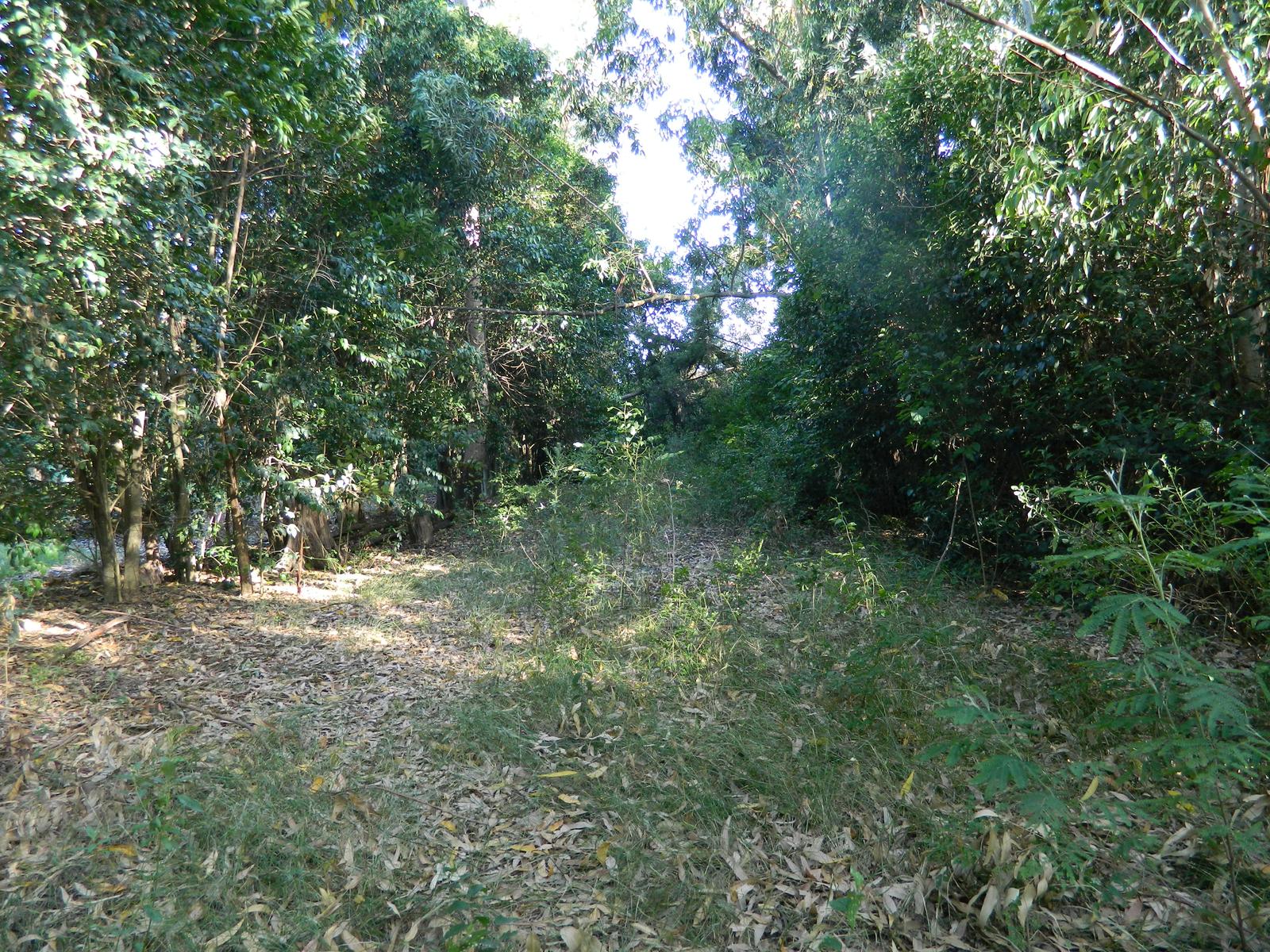 image 44