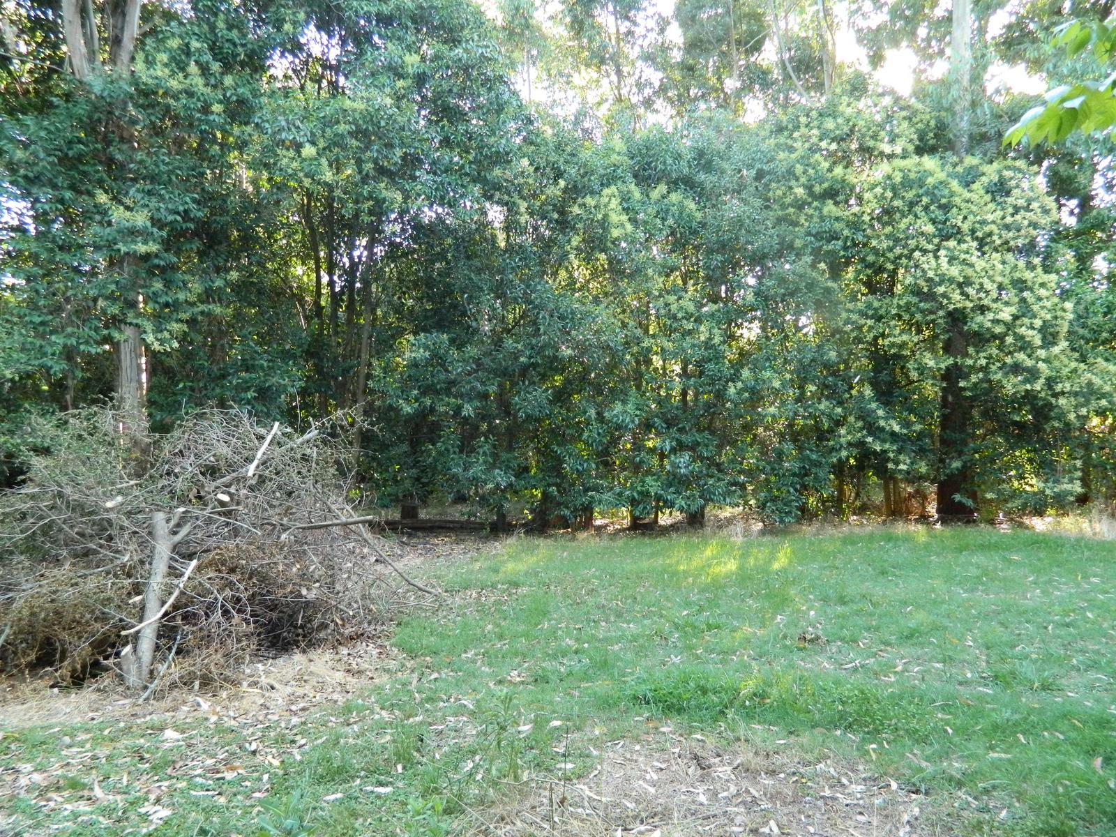 image 45