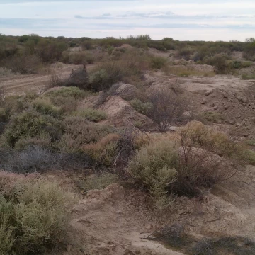 CAMPO EN LAGUNA DEL ROSARIO SOBRE RUTA 40