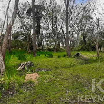 Terreno en Isla Santiago