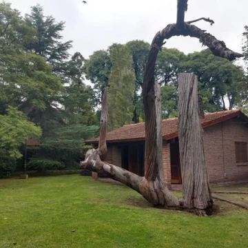 Del Remedio 1400