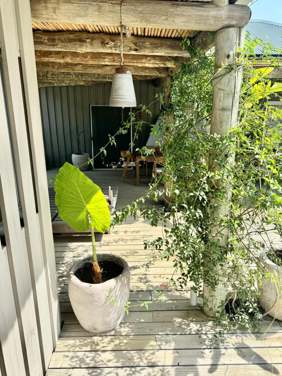 image 30