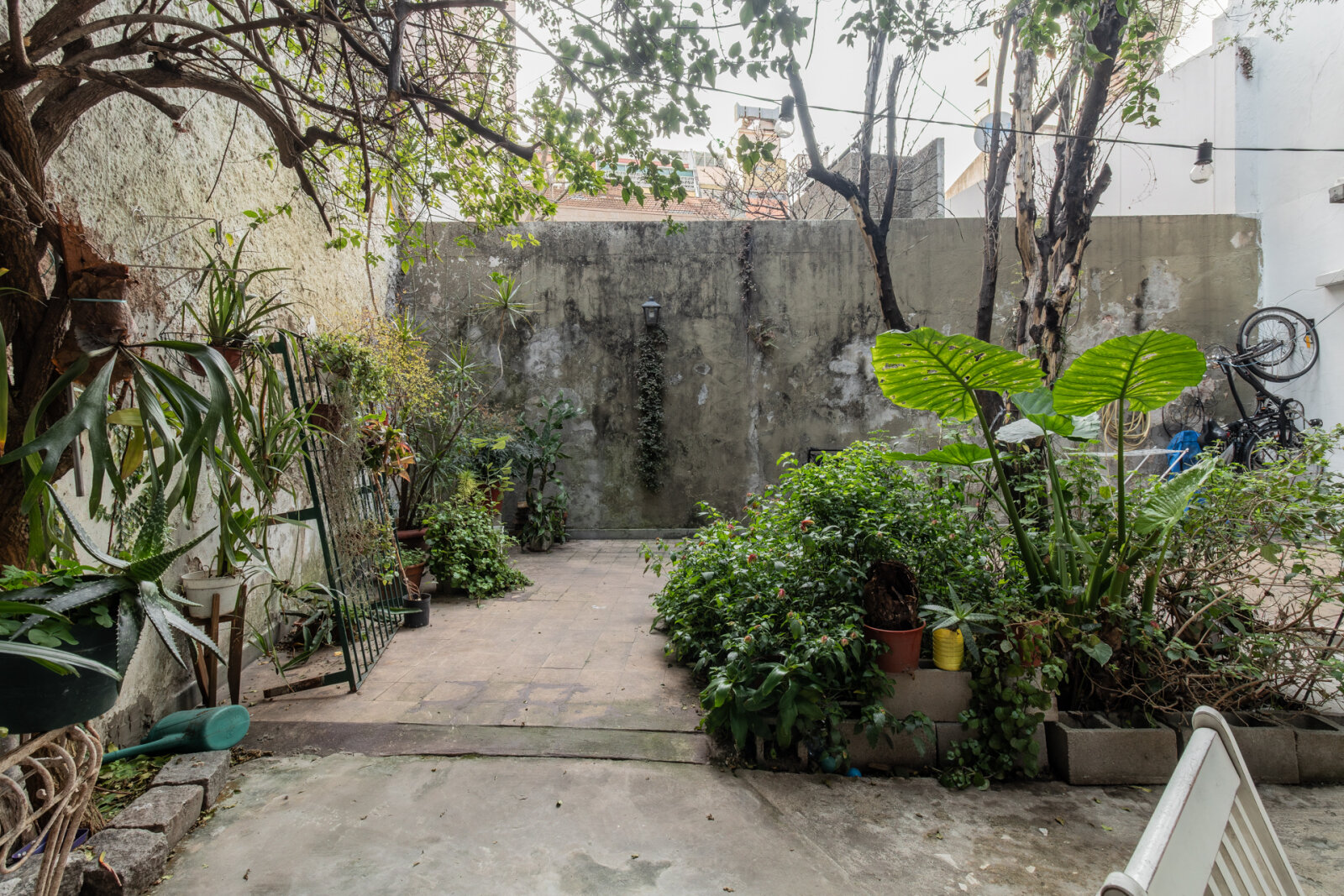 image 19