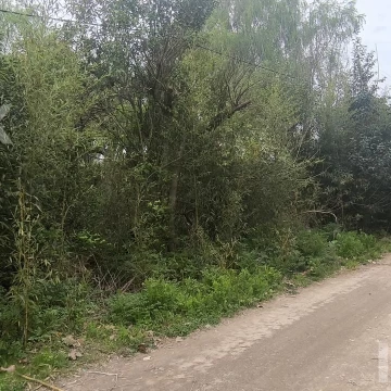 Lote en venta en Playa Bagliardi, Berisso – 3.717 m² de naturaleza y tranquilidad