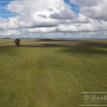 CAMPO 80 % AGRÍCOLA EN VENTA –  147 has - CLARAZ, NECOCHEA