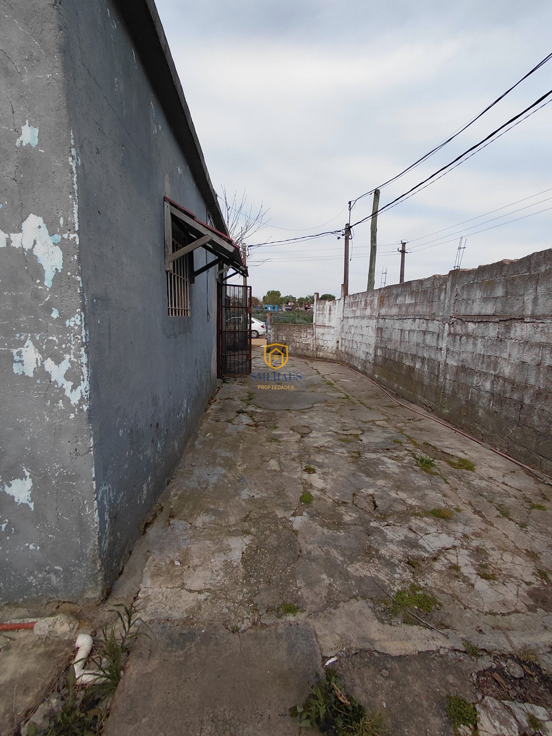 image 14