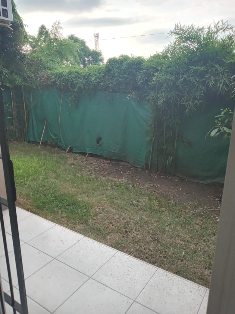 image 17