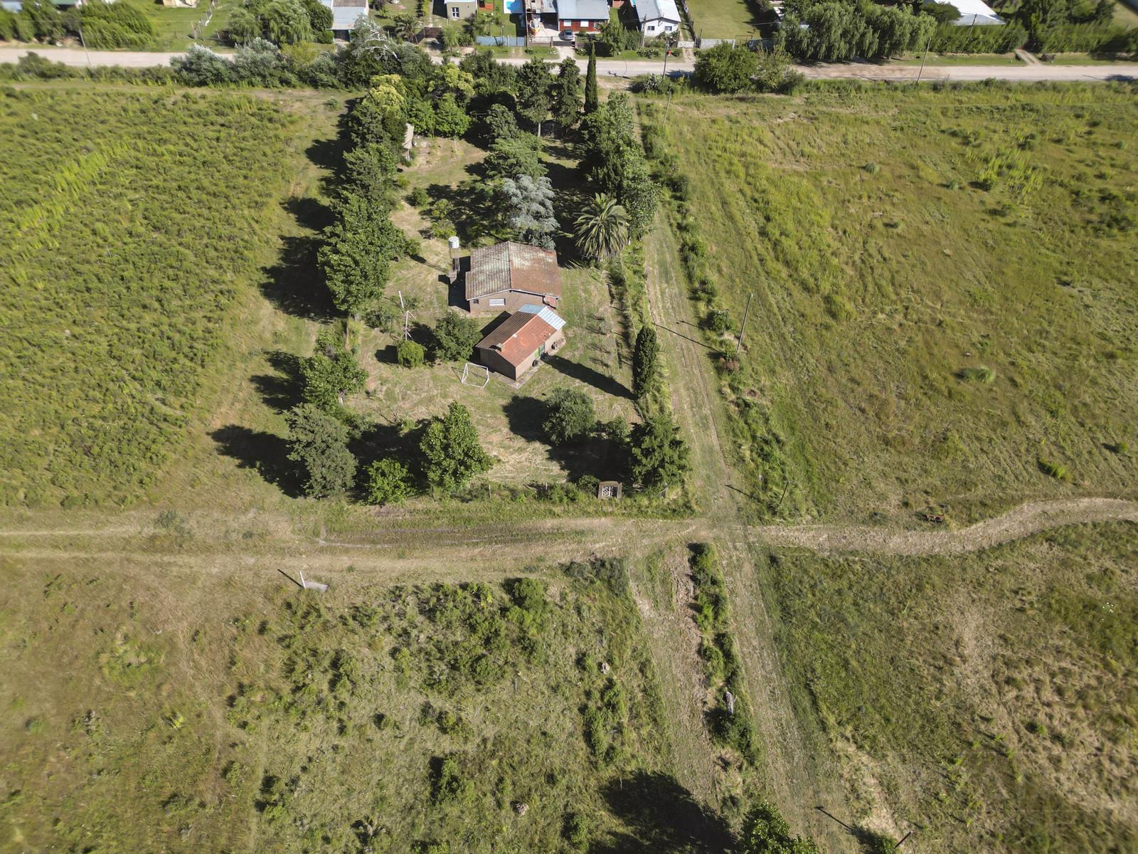 image 33