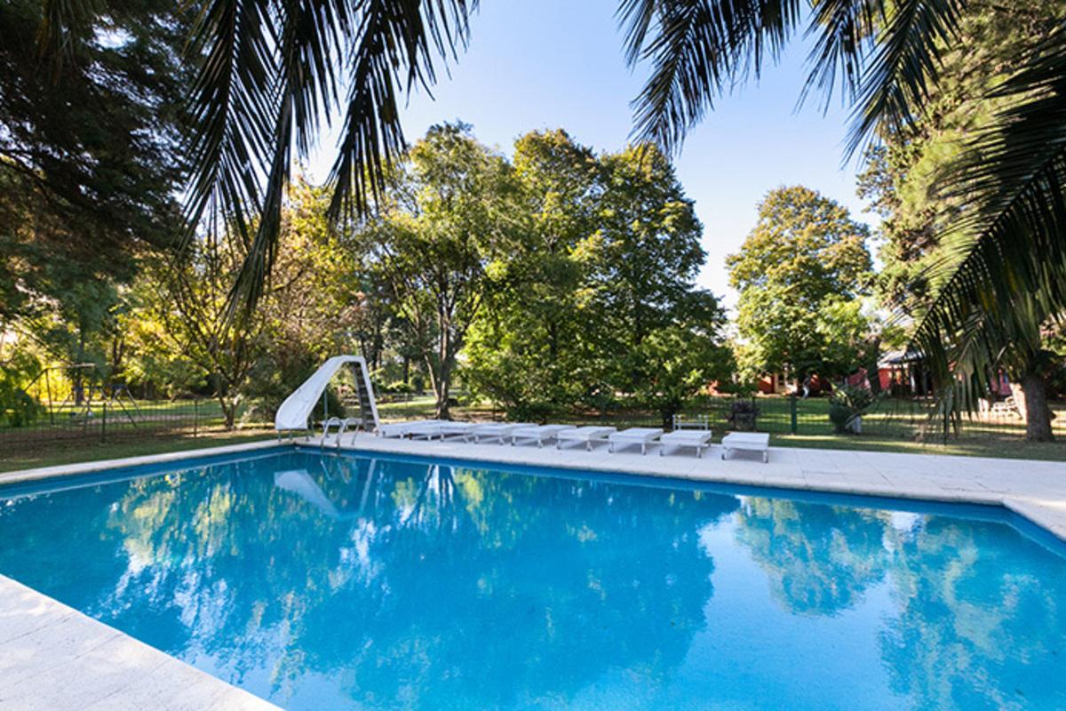 image 16