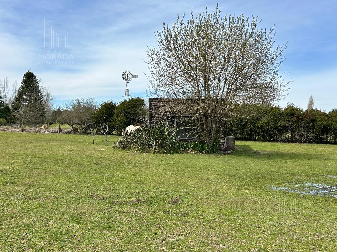 image 14