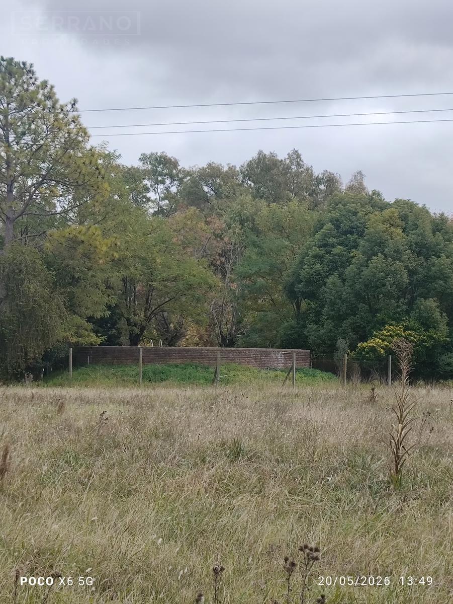 image 36