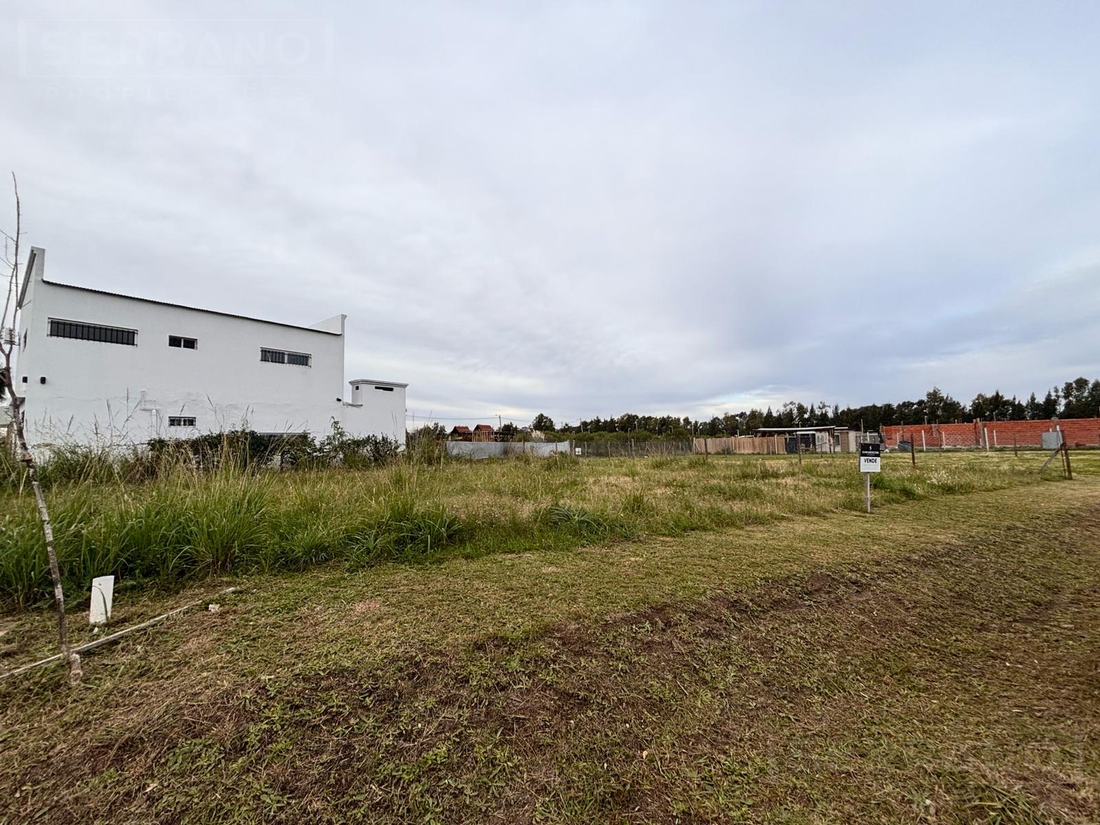 image 14