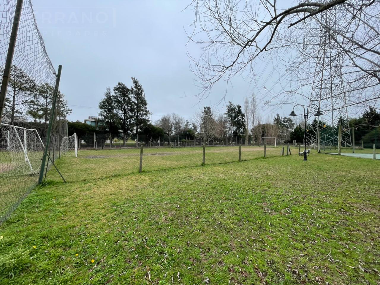 image 35