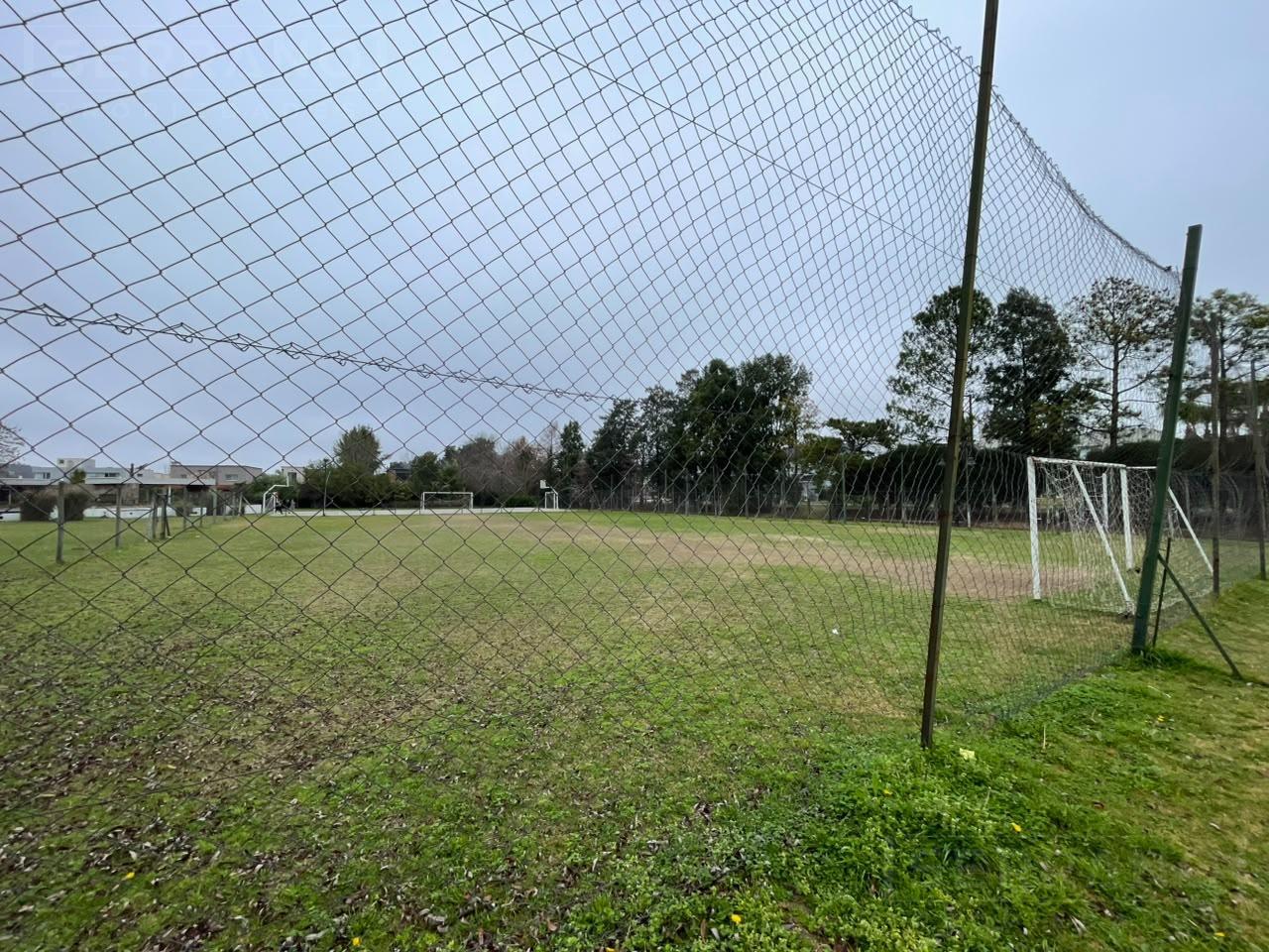 image 36