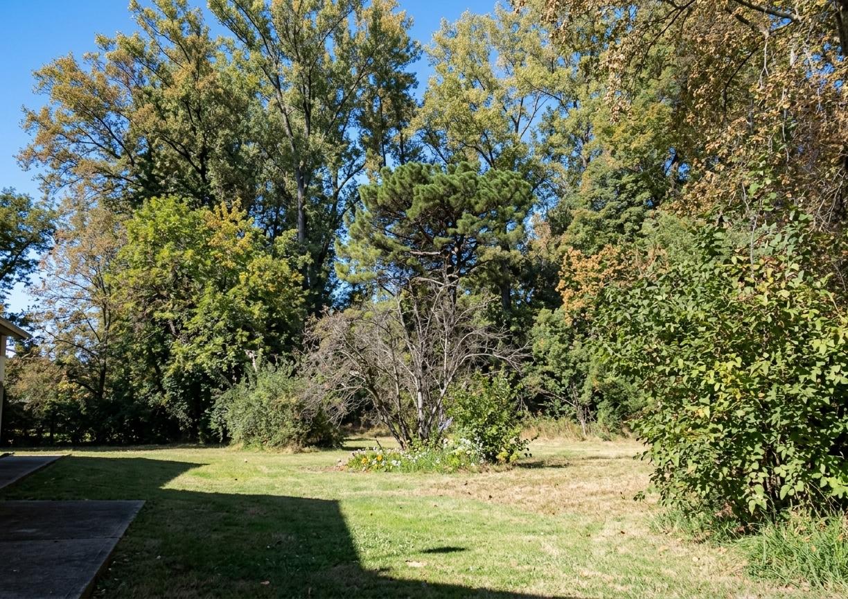image 30