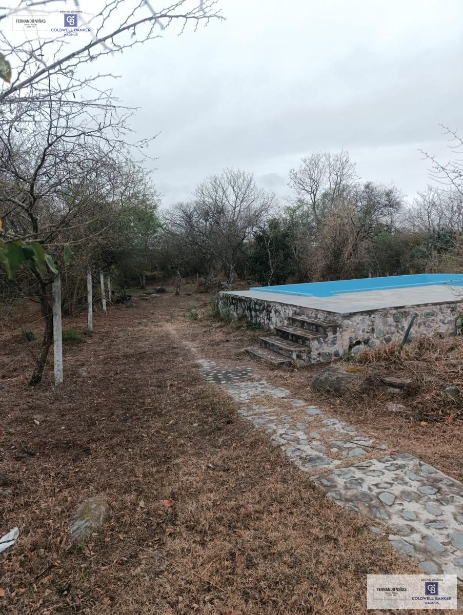 image 14