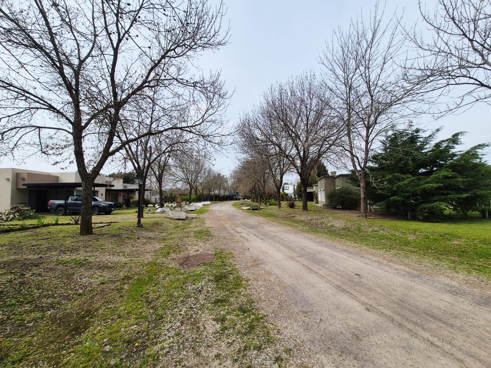 image 49