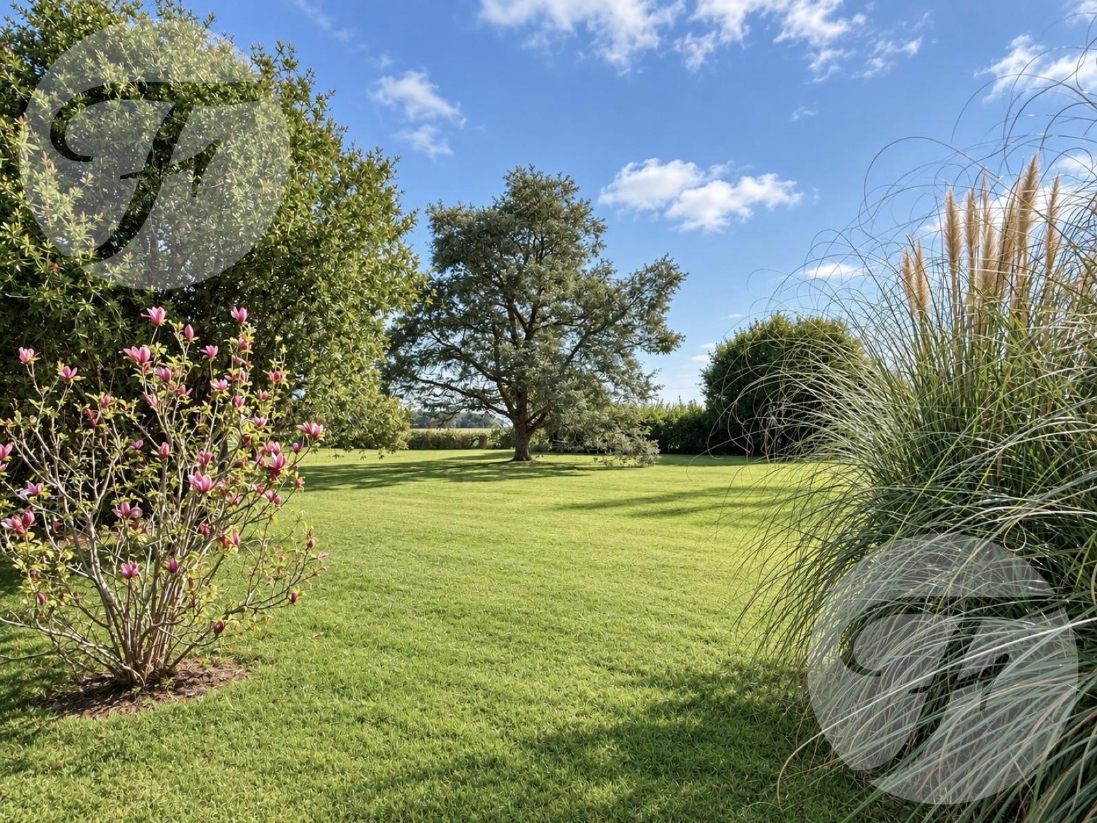 image 27