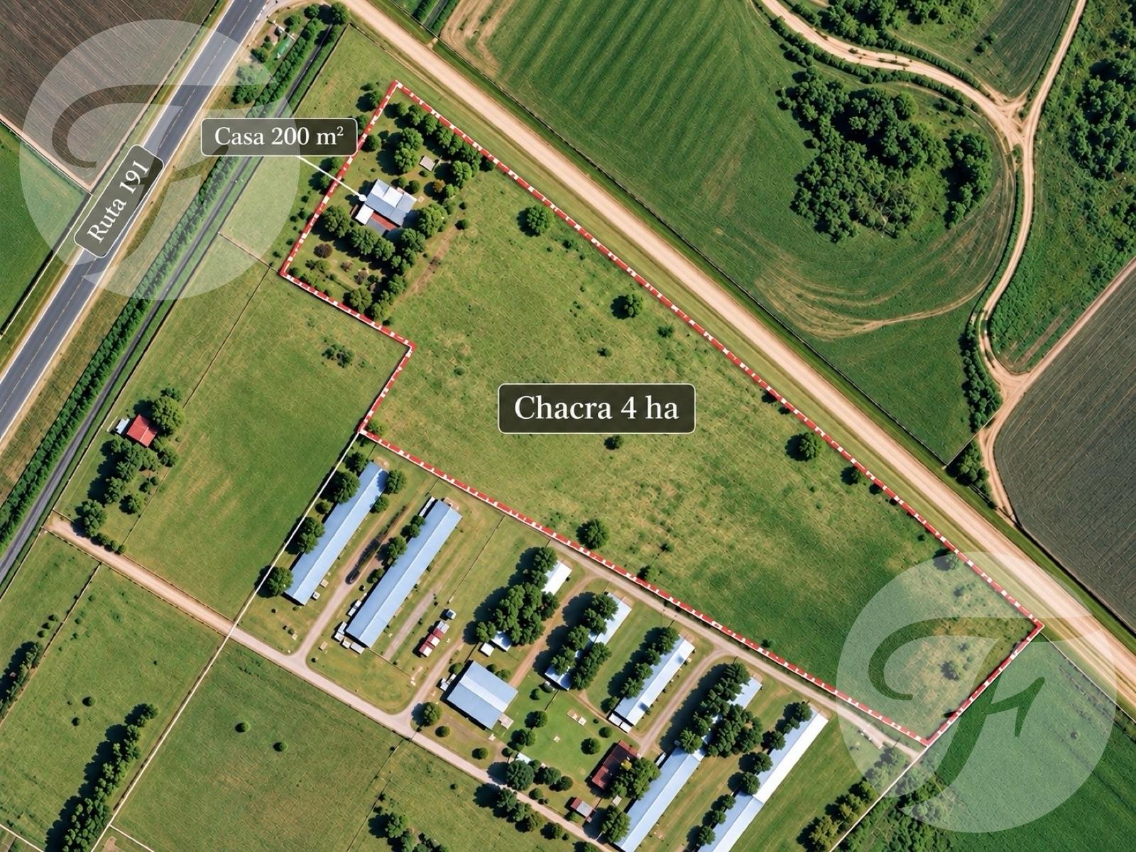 PLANO