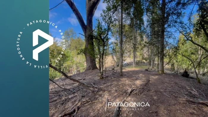 Terreno en Villa La Angostura