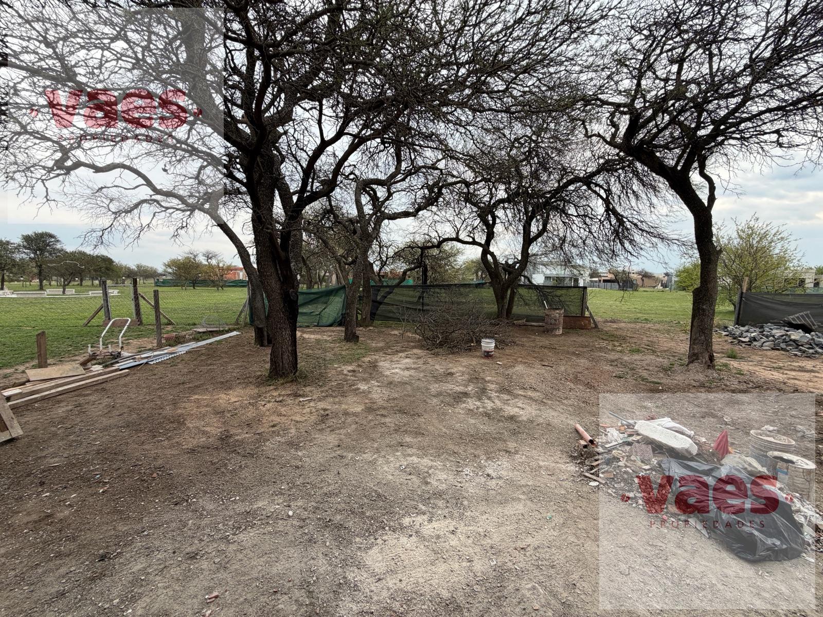 image 29