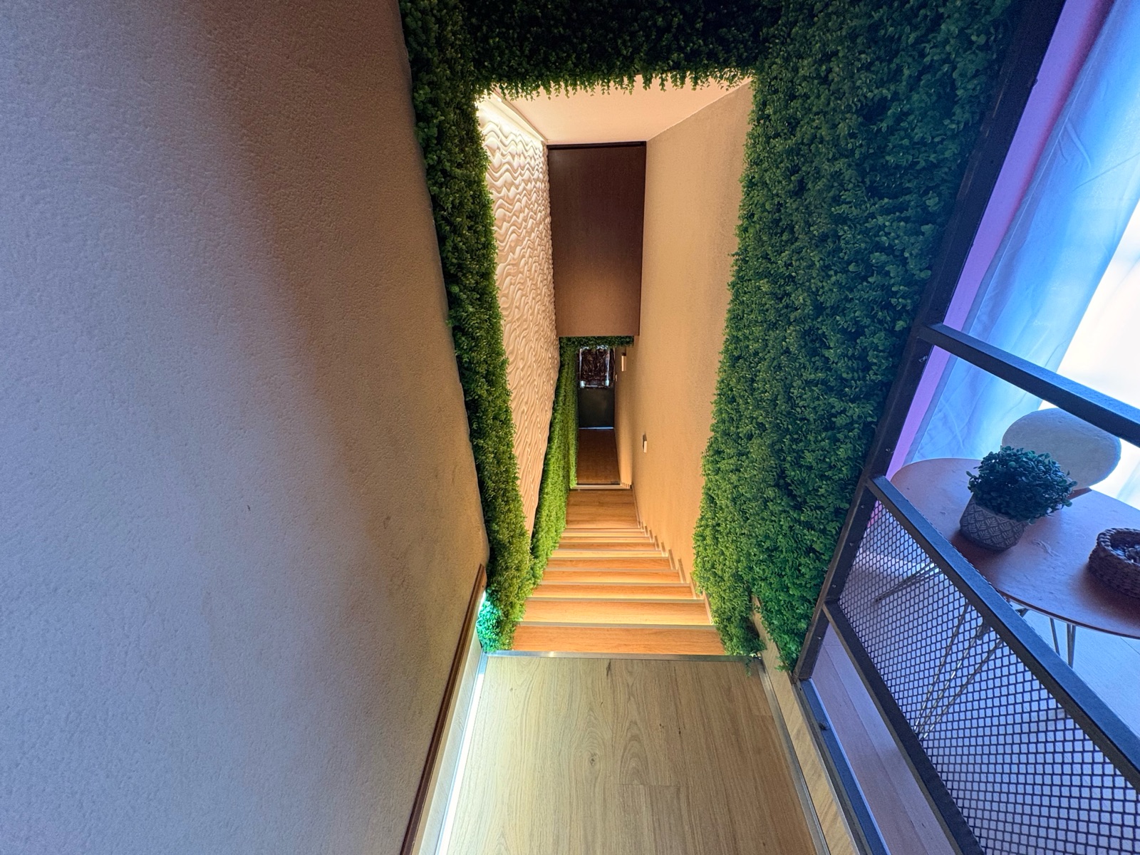 PH PLANTA ALTA