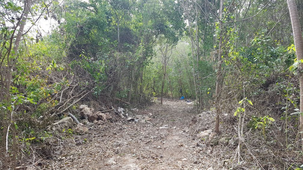 Terreno con suelo mixto av. colosio