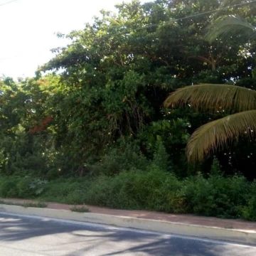 Terreno en venta Punta Sam, Quintana Roo
