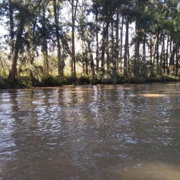 Terreno Venta en Rio o Arroyo Caraguatá Fracción 294 300