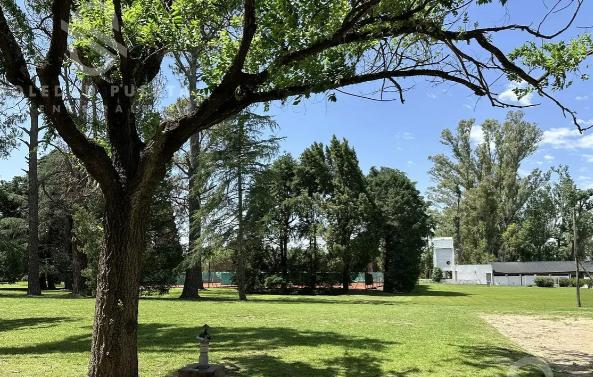 image 14