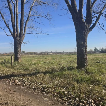 VENTA - LOTE - GENERAL RODRÍGUEZ - 1100M2 - BARRIO SAN CARLOS