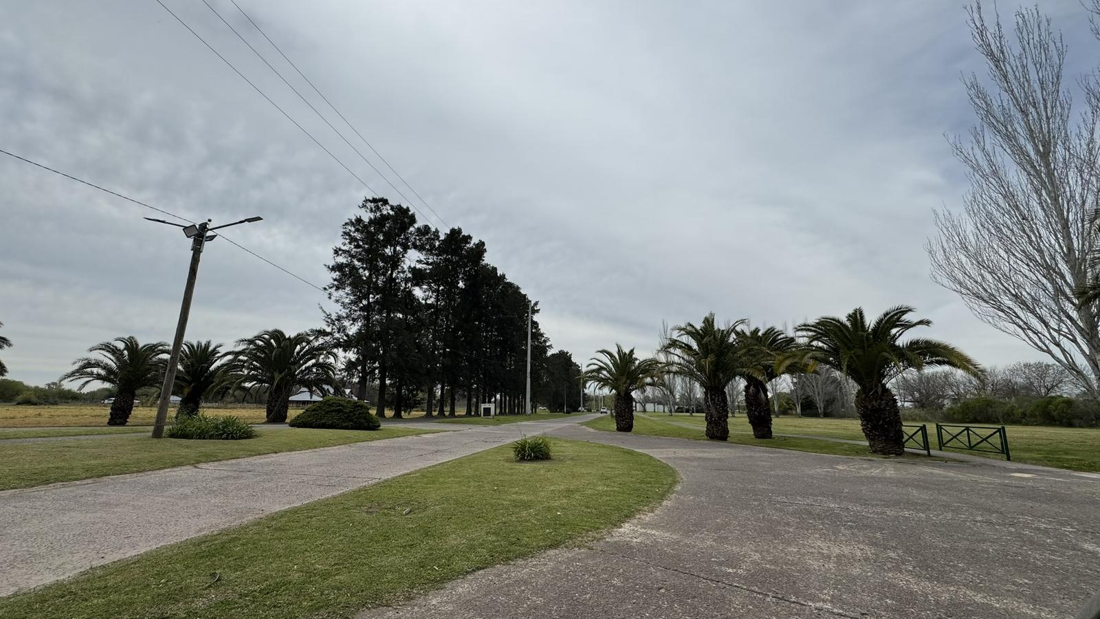 image 65