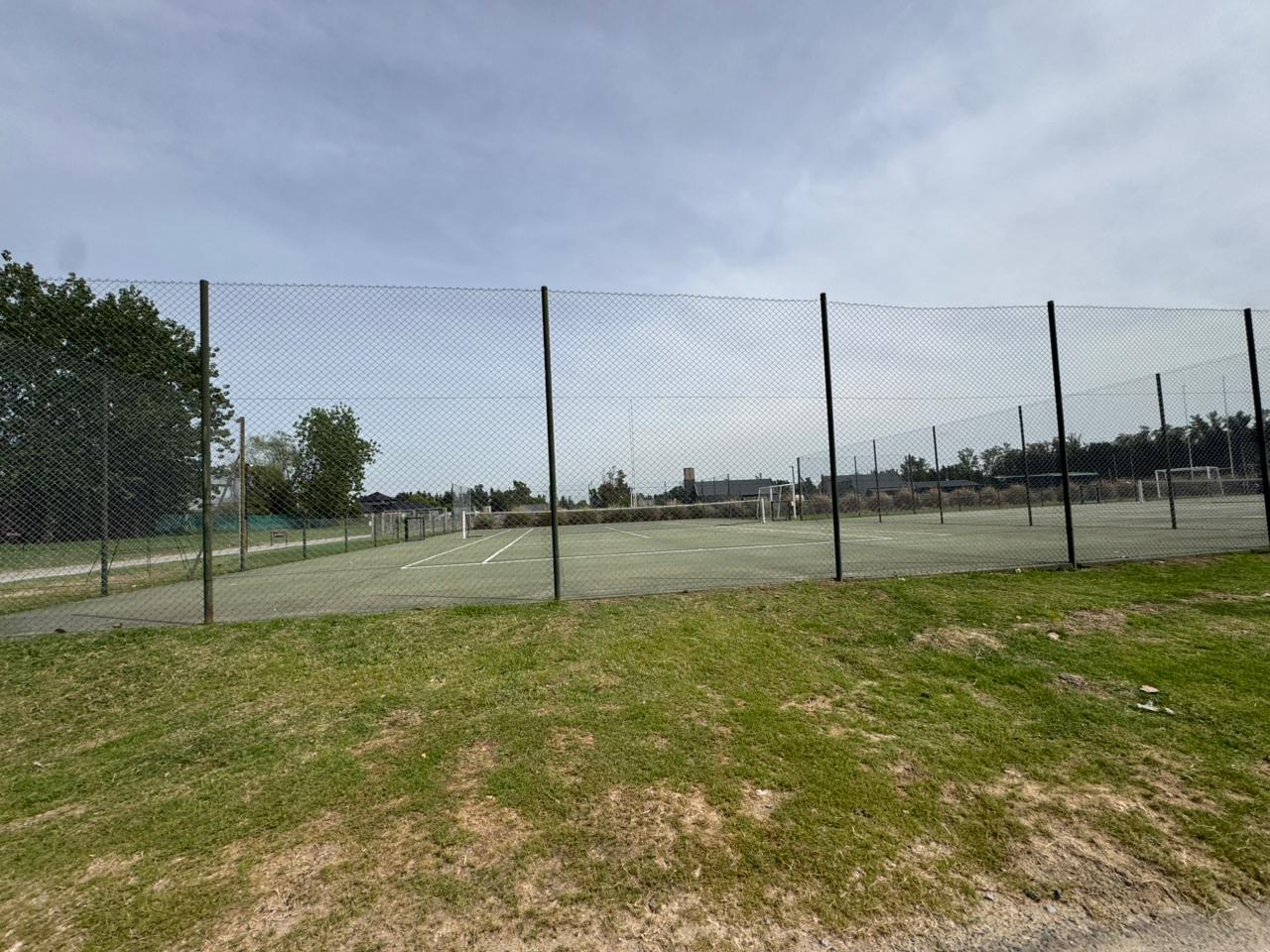 image 17