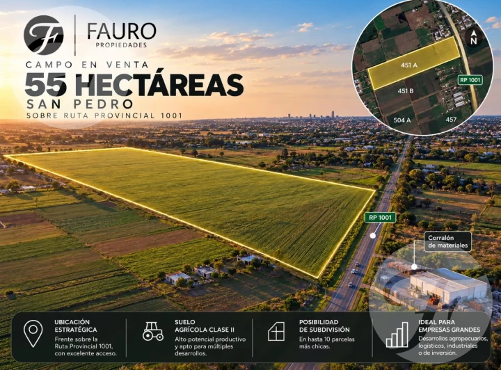 CAMPO 55 HA EN SAN PEDRO SOBRE RUTA 1001 | ALTO POTENCIAL DE SUBDIVISIÓN E INVERSIÓN