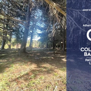 VENTA Lote 3.463 m2 Puerto Manzano Villa La Angostura