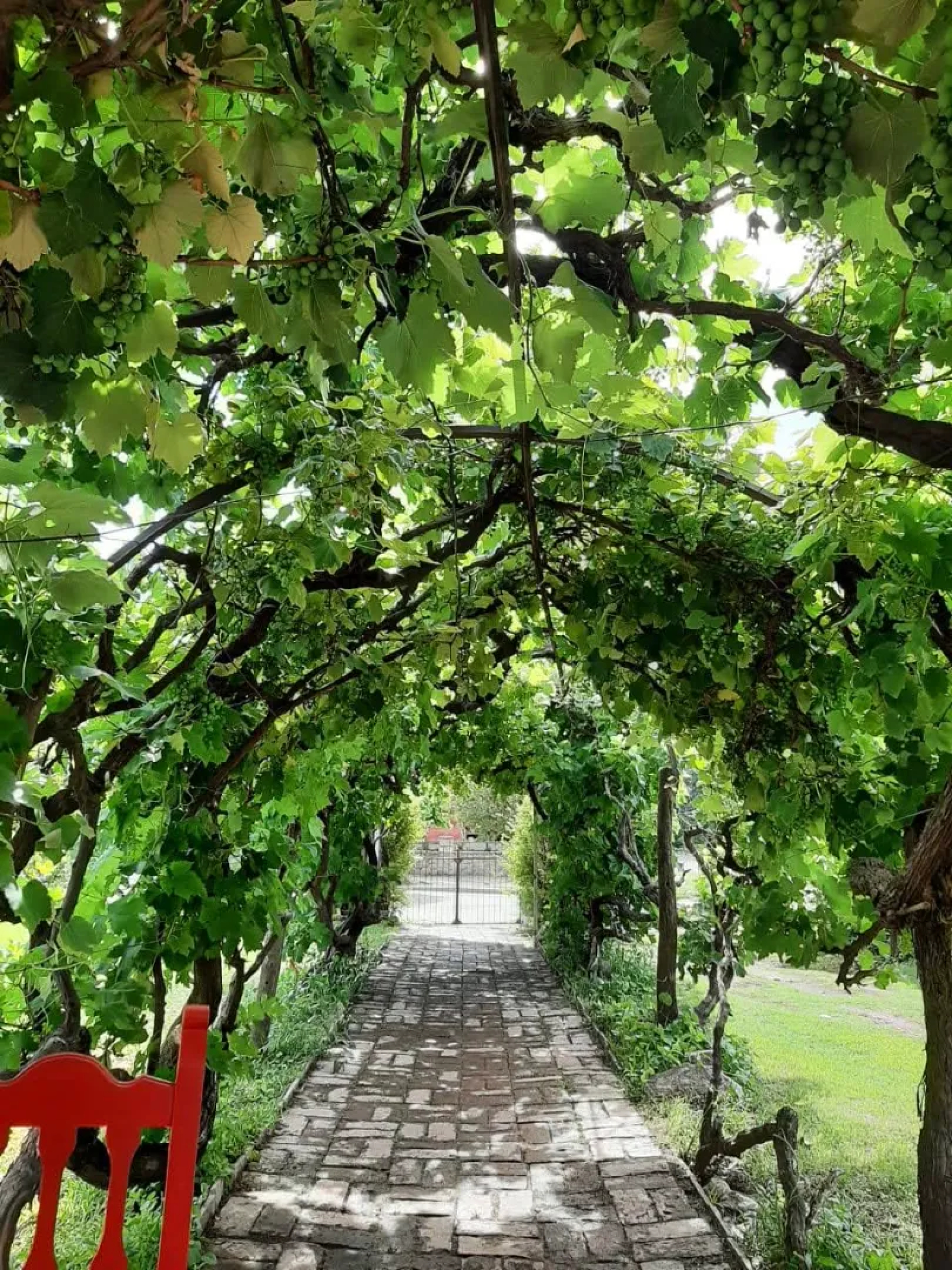 image 12
