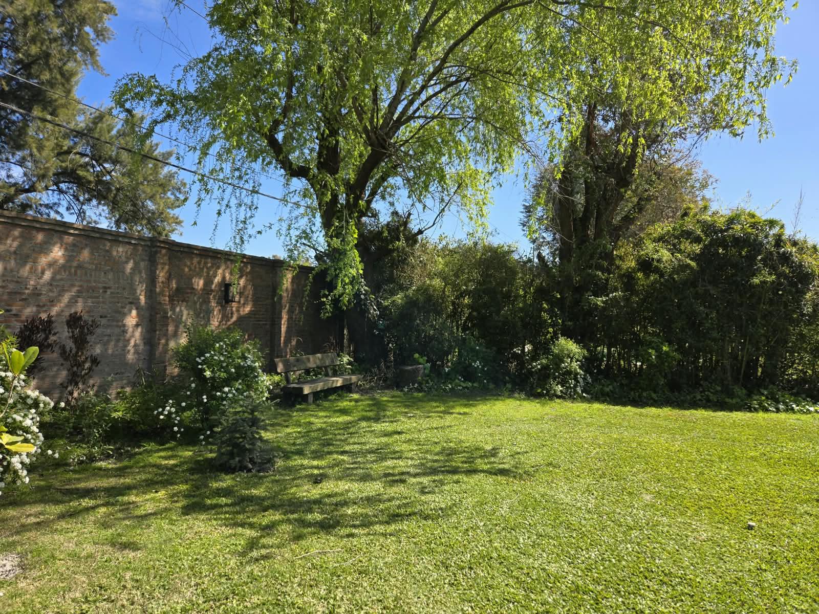 image 31