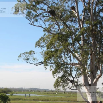 Lote en venta en Sebastián Gaboto, Pueblos del Plata, Hudson - Anticipo USD 40.000 más cuotas