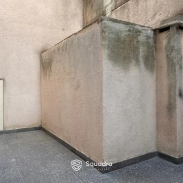 1790363558.jpg